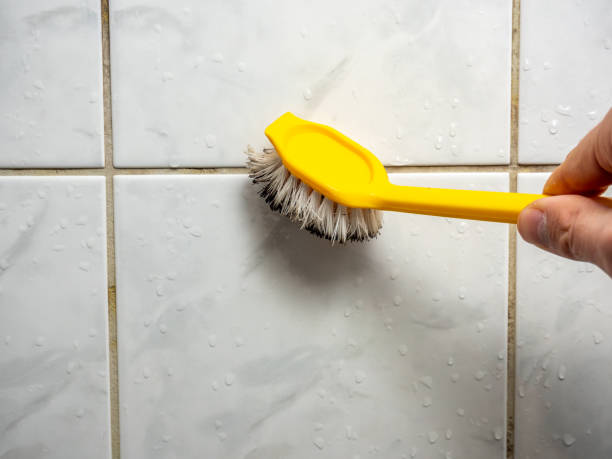 Best Office Mold Removal Services  in Florissant, MO